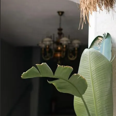 Accommodatie bij particulieren Dbd Alaçatı