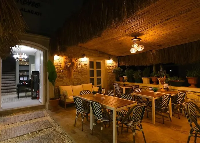 Проживание в семье Dbd