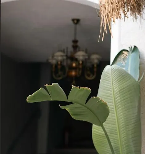 בית אירוח Dbd אלאקאטי